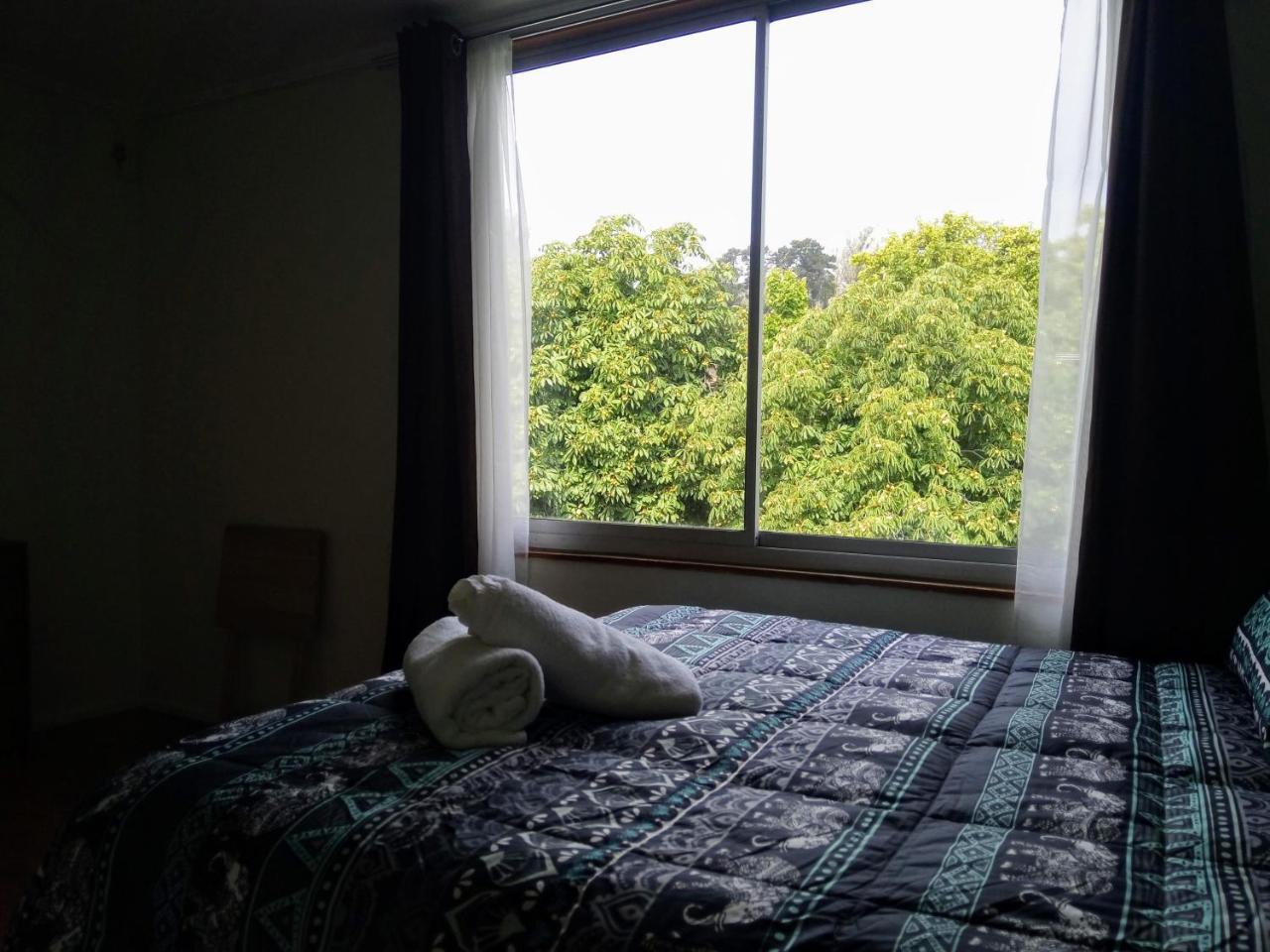Hostal Los Castanos Vina del Mar Ngoại thất bức ảnh